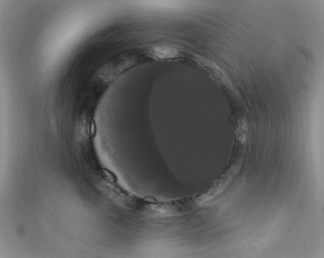 X0000111020763200907022158