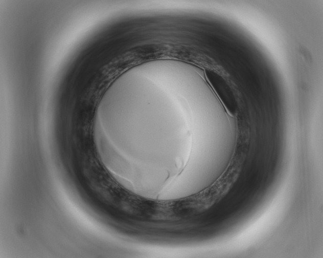 X0000111020766200907022158