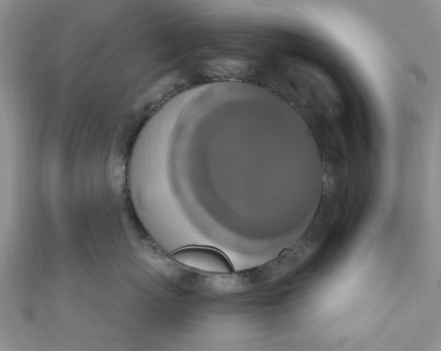 X0000111020767200907022158