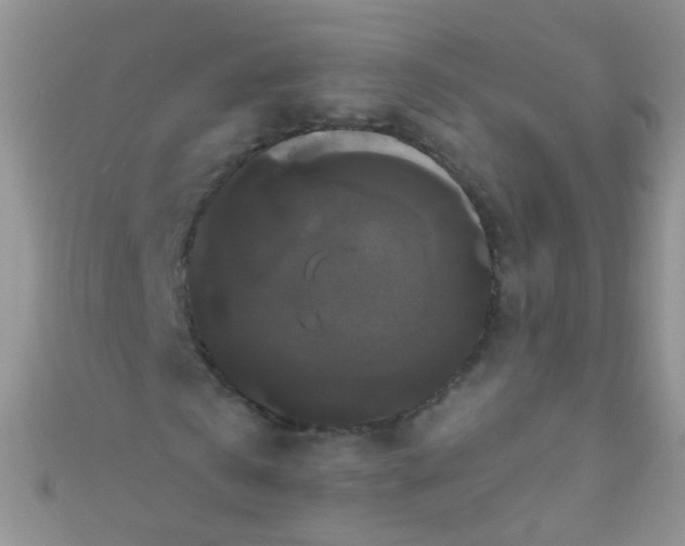 X0000111020769200907022158
