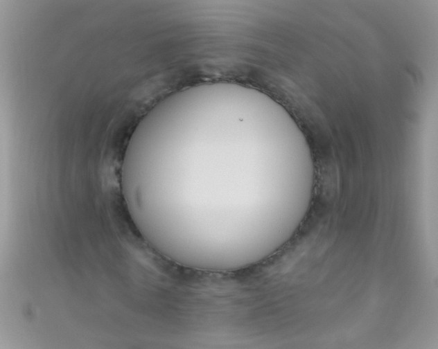 X0000111020770200907022158