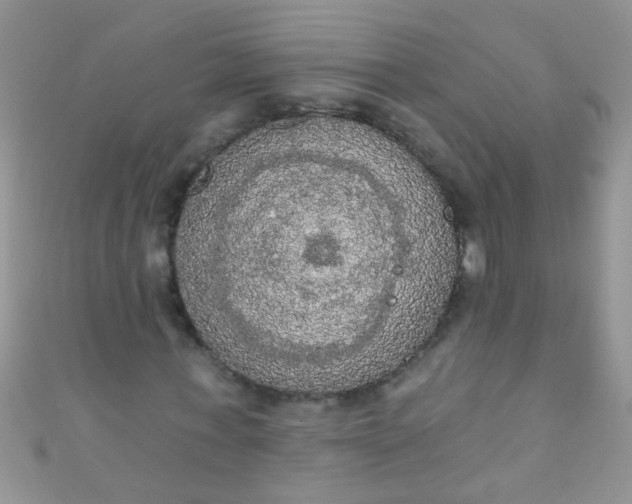 X0000111020771200907022158