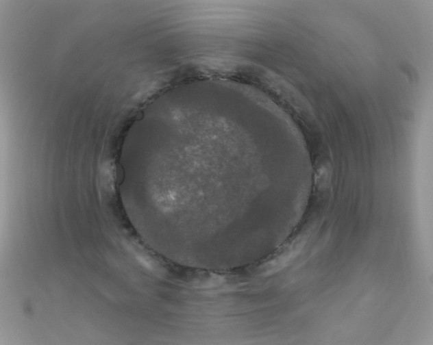 X0000111020772200907022158