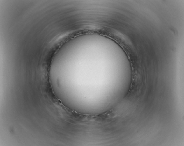 X0000111020773200907022158