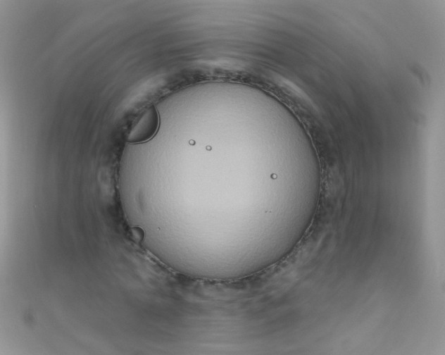 X0000111020774200907022158