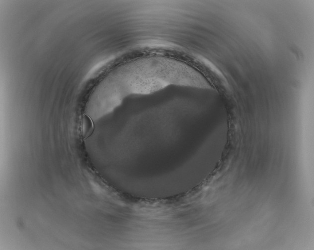 X0000111020775200907022158
