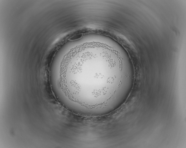 X0000111020776200907022158