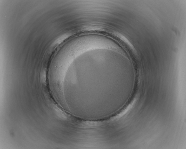 X0000111020777200907022158