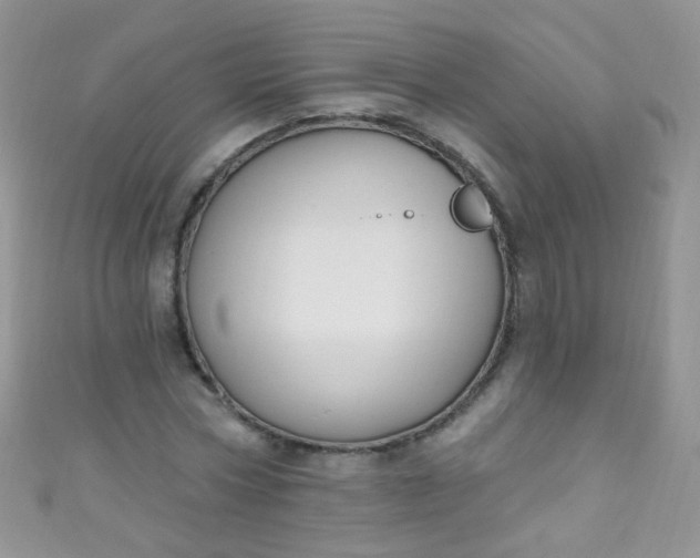 X0000111020778200907022158