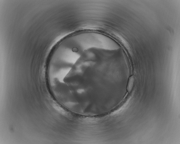 X0000111020779200907022158