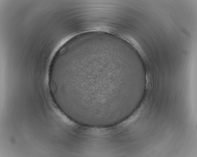 X0000111020780200907022158