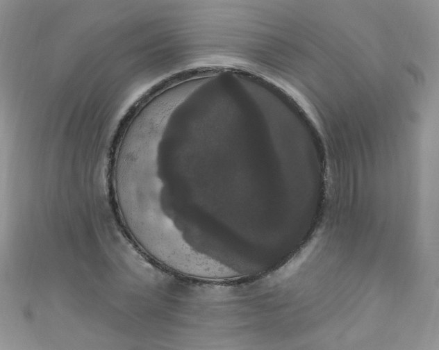 X0000111020783200907022158