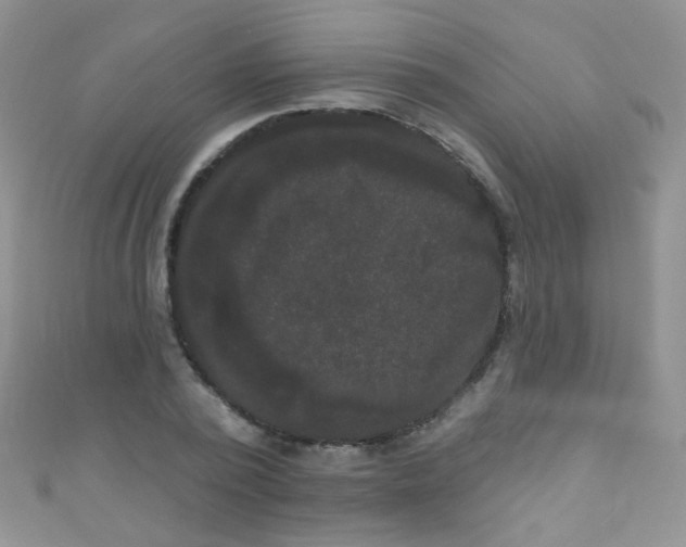 X0000111020784200907022158