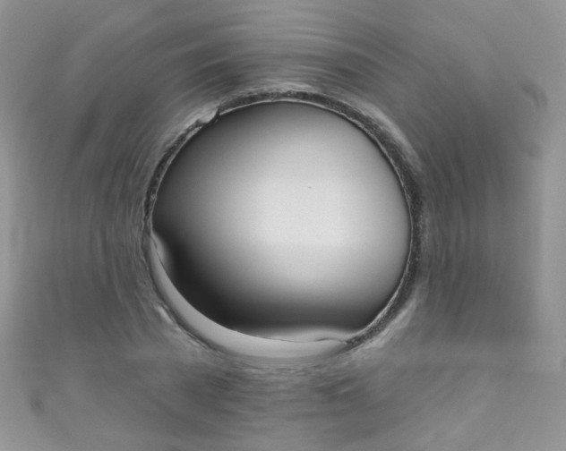 X0000111020785200907022158