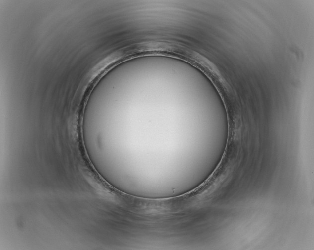 X0000111020786200907022157