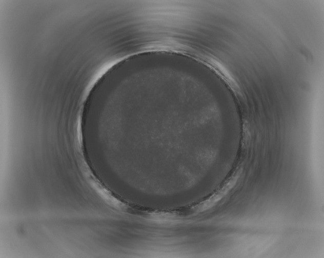 X0000111020788200907022157