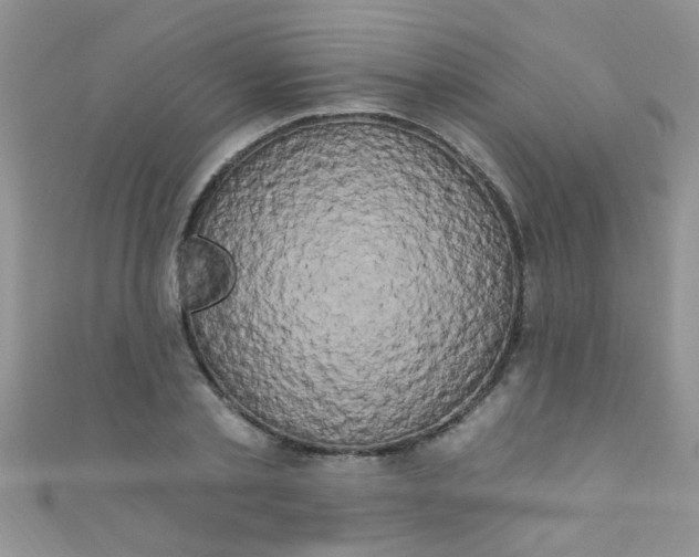 X0000111020789200907022157