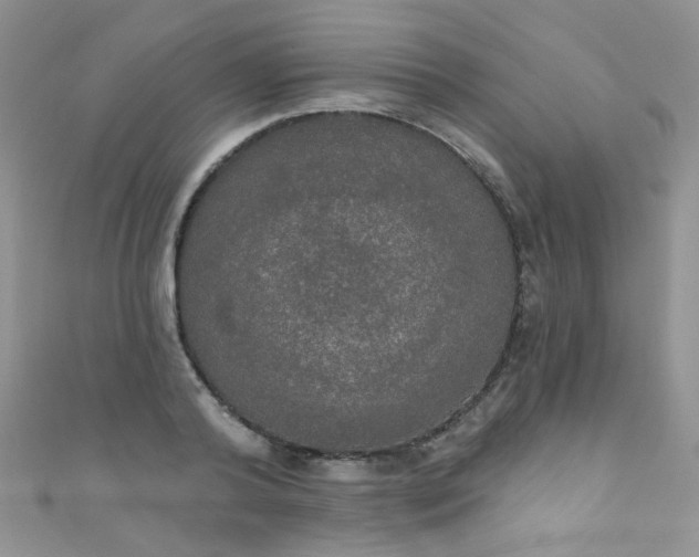 X0000111020792200907022157