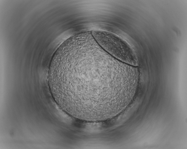 X0000111020793200907022157
