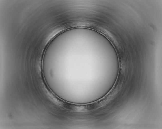 X0000111020794200907022157