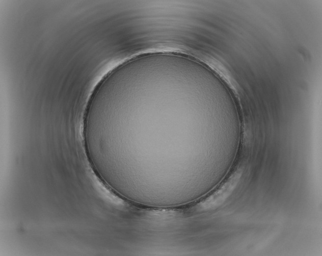X0000111020797200907022157