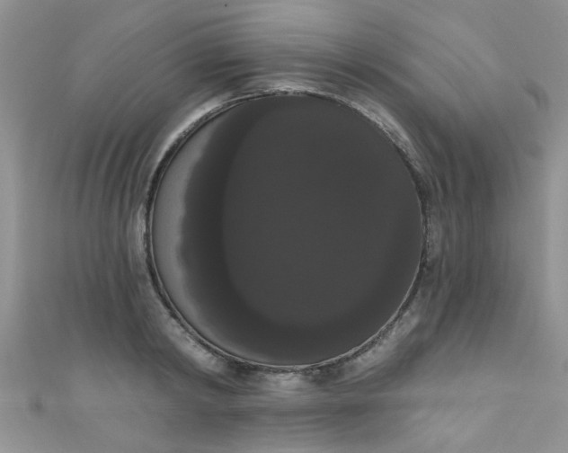 X0000111020798200907022157