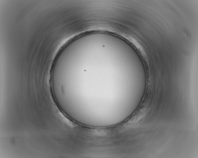 X0000111020799200907022157
