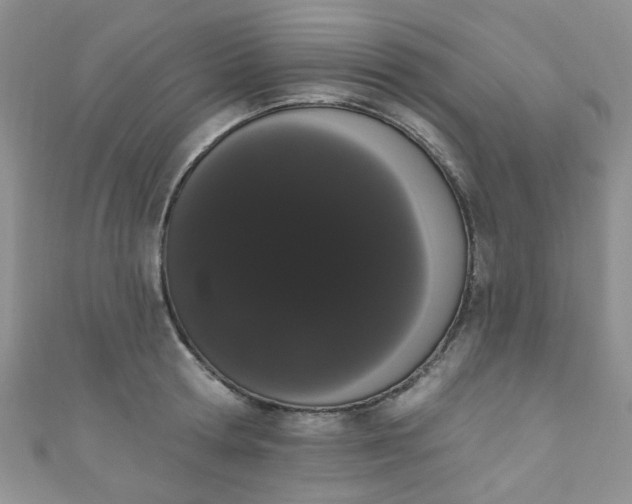 X0000111020802200907022157