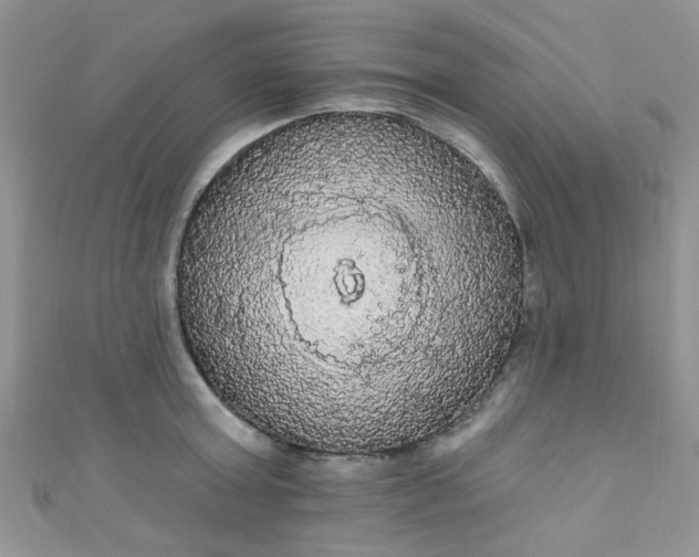 X0000111020803200907022157
