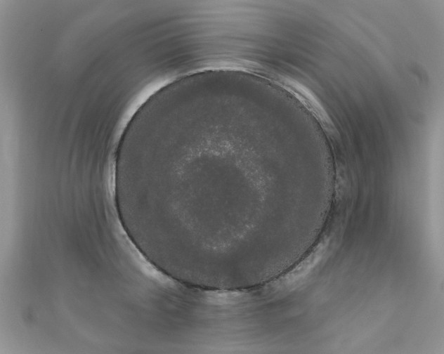 X0000111020804200907022157