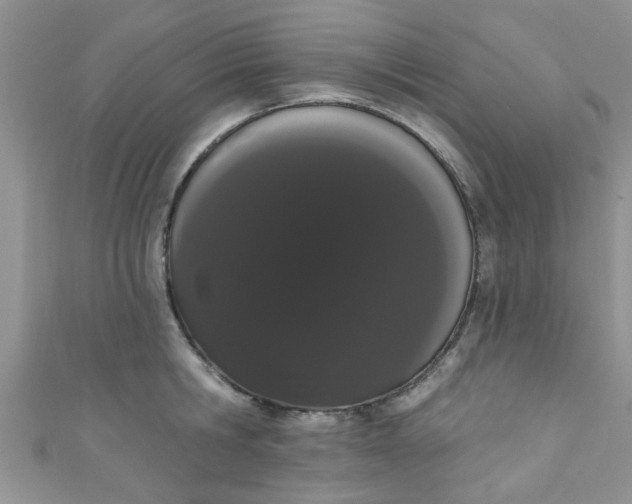 X0000111020806200907022157