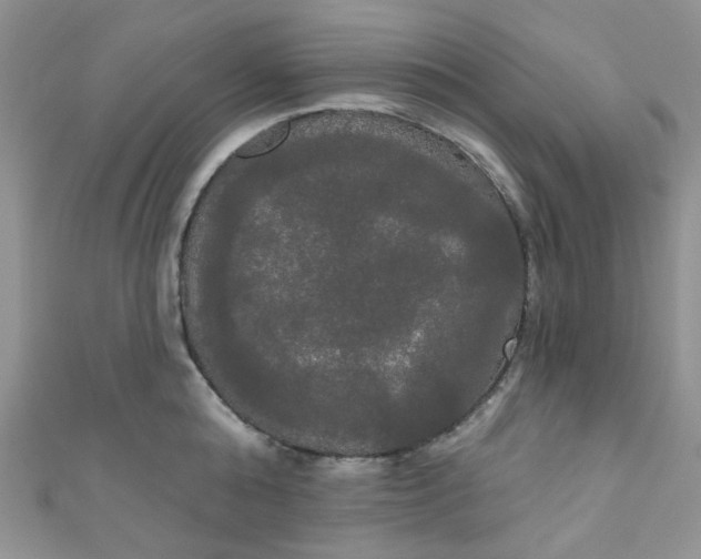 X0000111020808200907022157