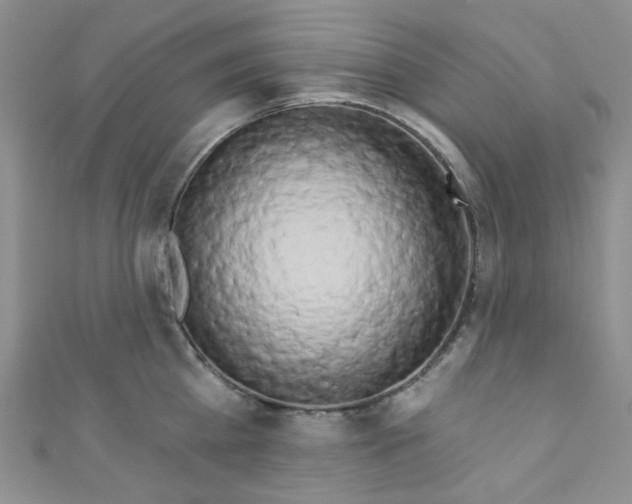 X0000111020809200907022157