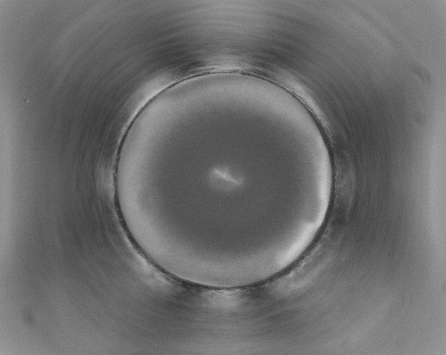 X0000111020810200907022157