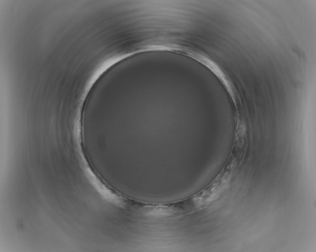 X0000111020811200907022157