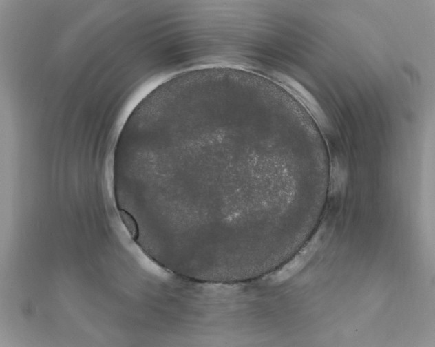 X0000111020812200907022157