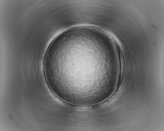 X0000111020813200907022157