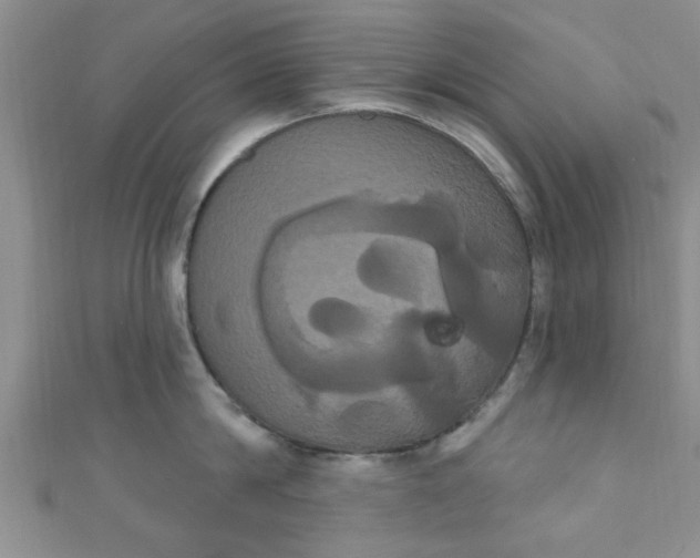 X0000111020814200907022157