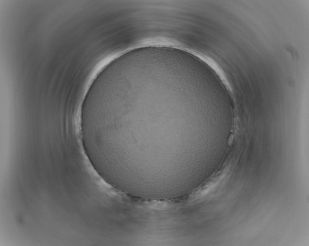 X0000111020815200907022157