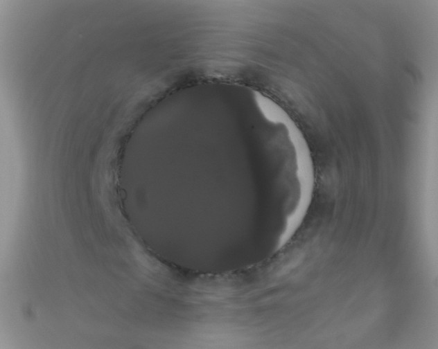 X0000111020817200907022156