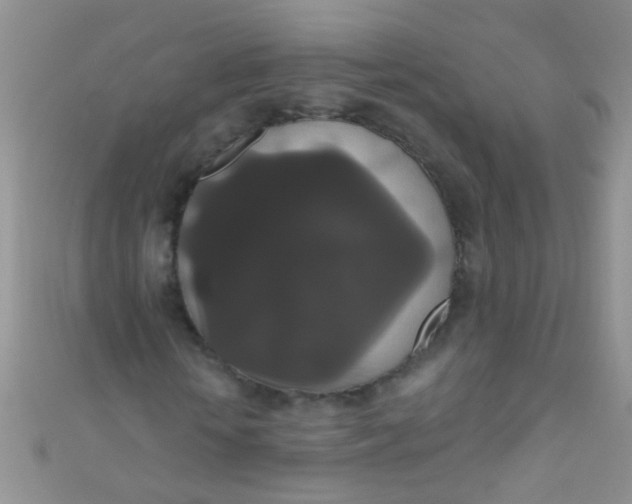 X0000111020818200907022156