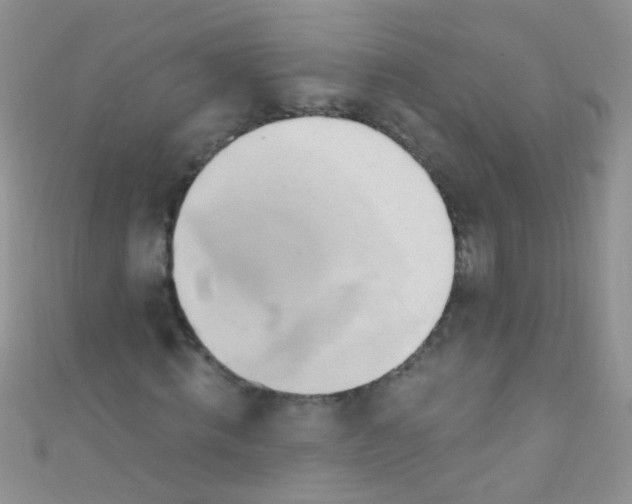 X0000111020820200907022156