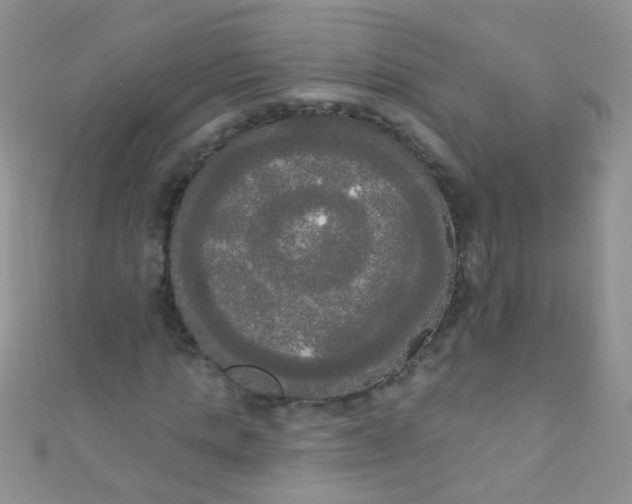 X0000111020821200907022156