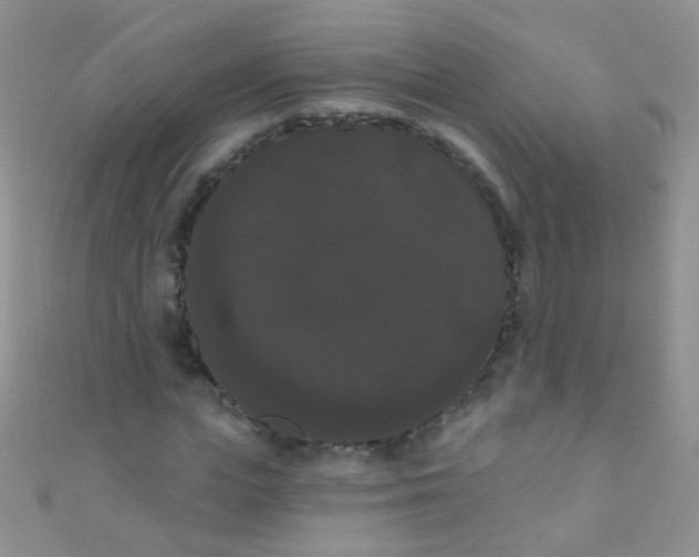 X0000111020823200907022156
