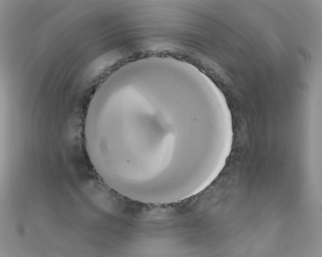 X0000111020824200907022156