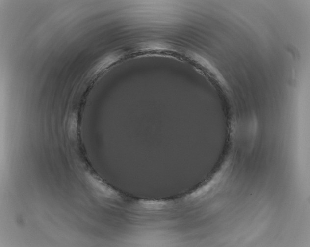 X0000111020825200907022156