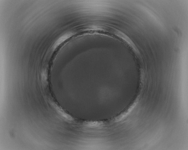 X0000111020826200907022156