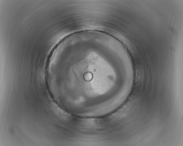X0000111020828200907022156