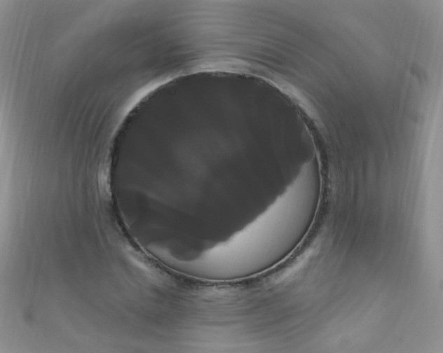 X0000111020830200907022156