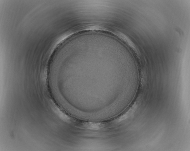 X0000111020831200907022157